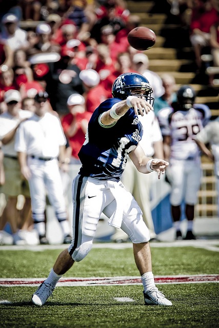 的灵活战术 的灵活战术