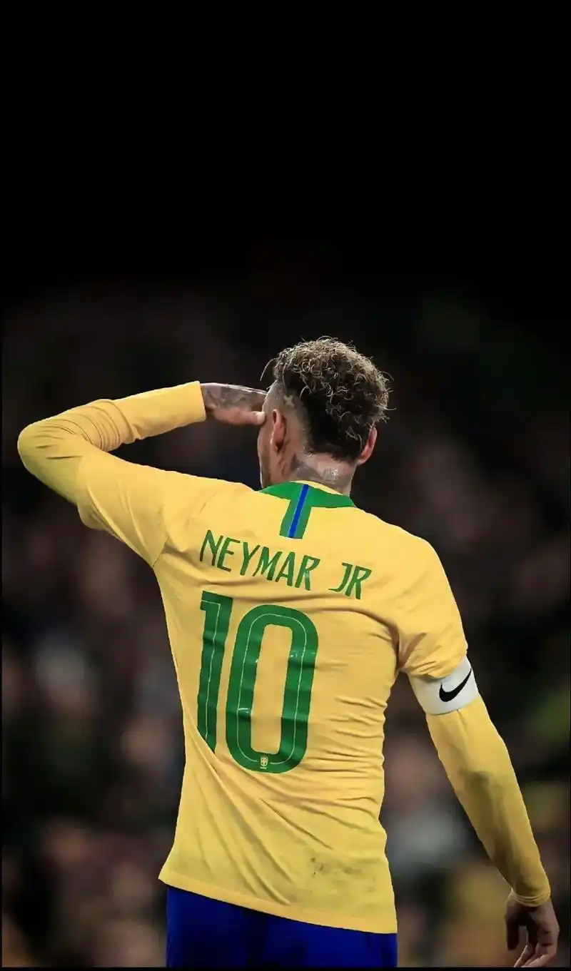 佳夫在法甲 佳夫在法甲